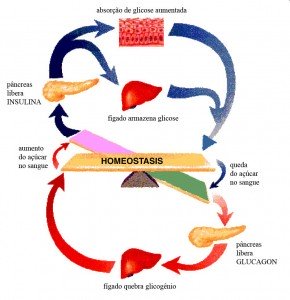 treinos academia diabetes