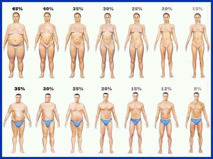 Percentual de gordura