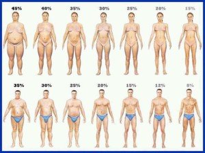 Percentual de gordura