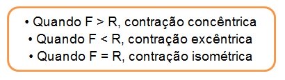 tipos contracao musculo treinos academia