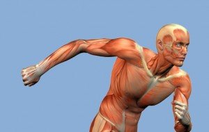 muscle man w/ clipping mask