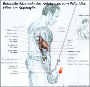exercicio-treino-triceps