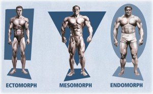 mesomorfo-ectomorfo-endomorfo-treinos-academia