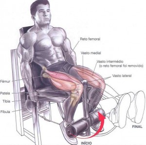 Treino para pernas