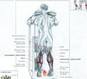 Treino para pernas
