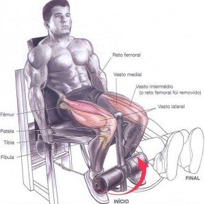 Treino para pernas