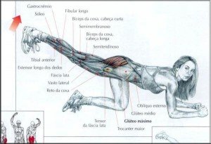 treino para glúteos