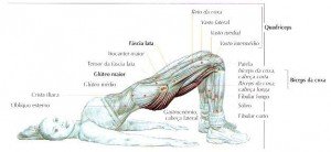 treino para glúteos