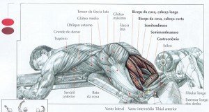 treino para glúteos