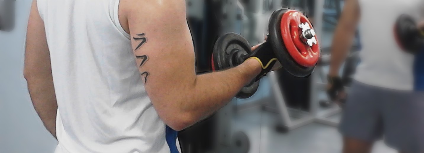 Periodização dos treinos de musculação