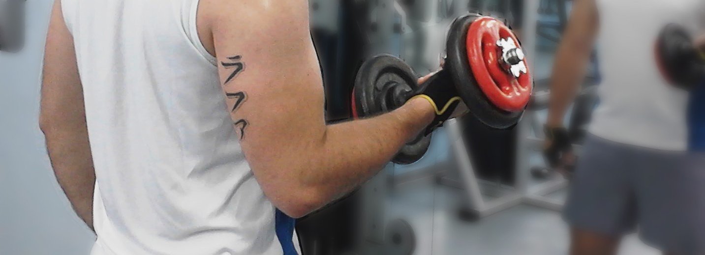 Periodização dos treinos de musculação